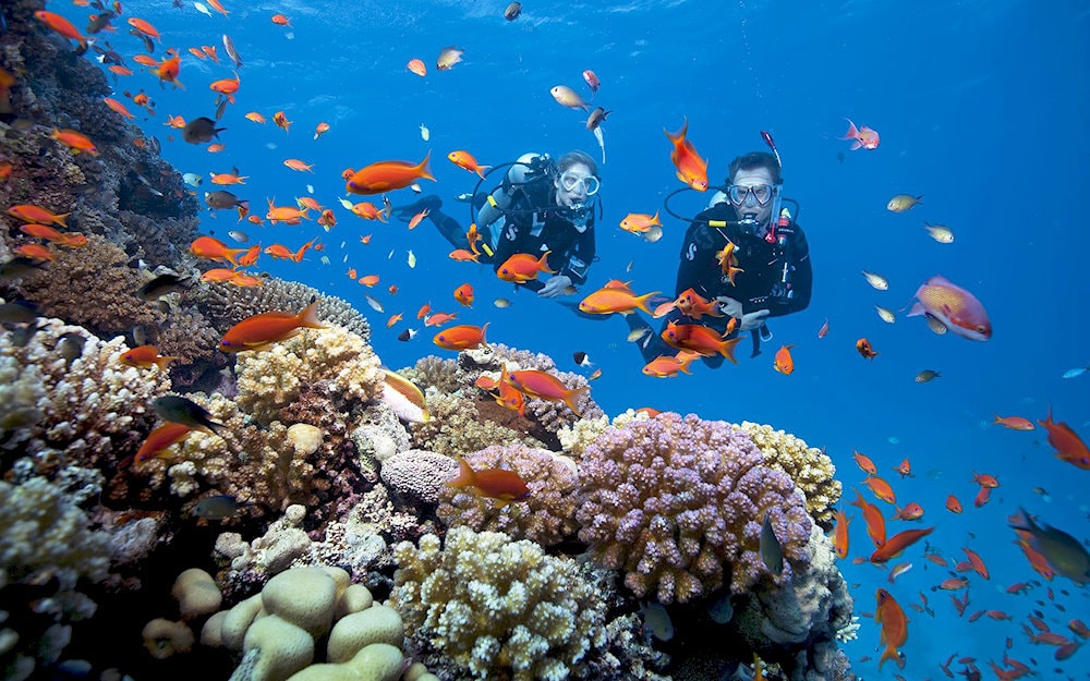 Snorkeling at Ky Co Beach offers a glimpse into the vibrant underwater world